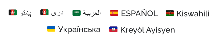 languages represented with flags